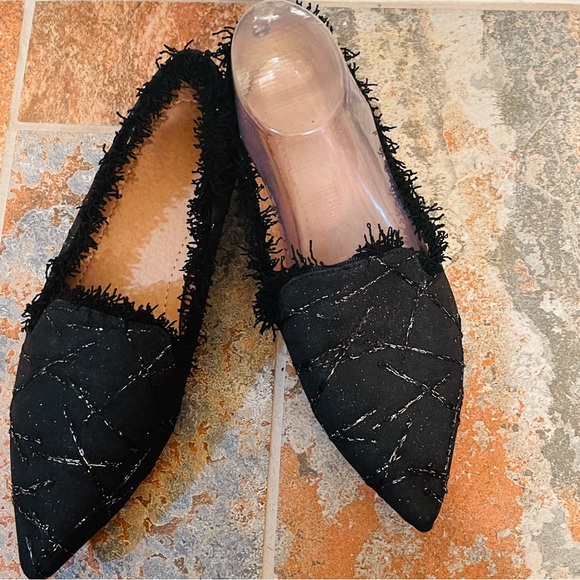 🖤NWOB! Fancy Pointed Toe Black with Silver Metallic Beading, Fringed Flat! - Picture 4 of 12